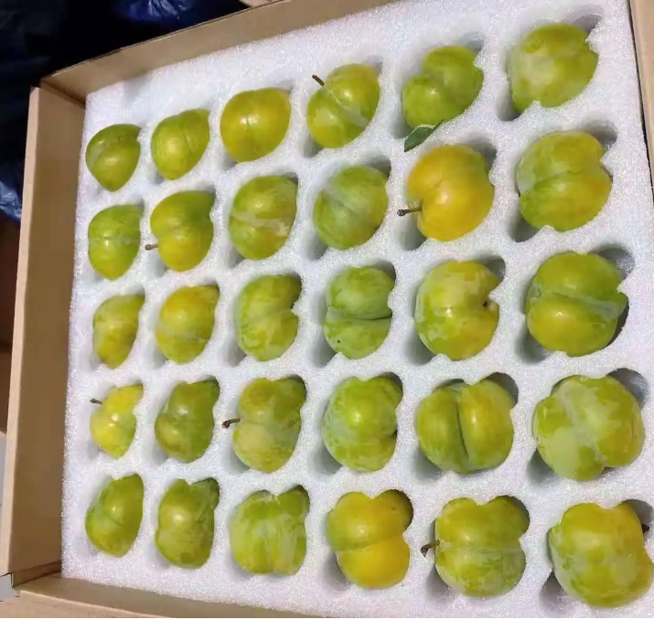 微信图片_20231013133220.png